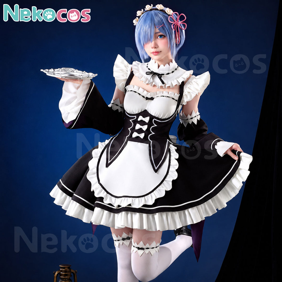 Rem Ram Anime Maid Cosplay Costume