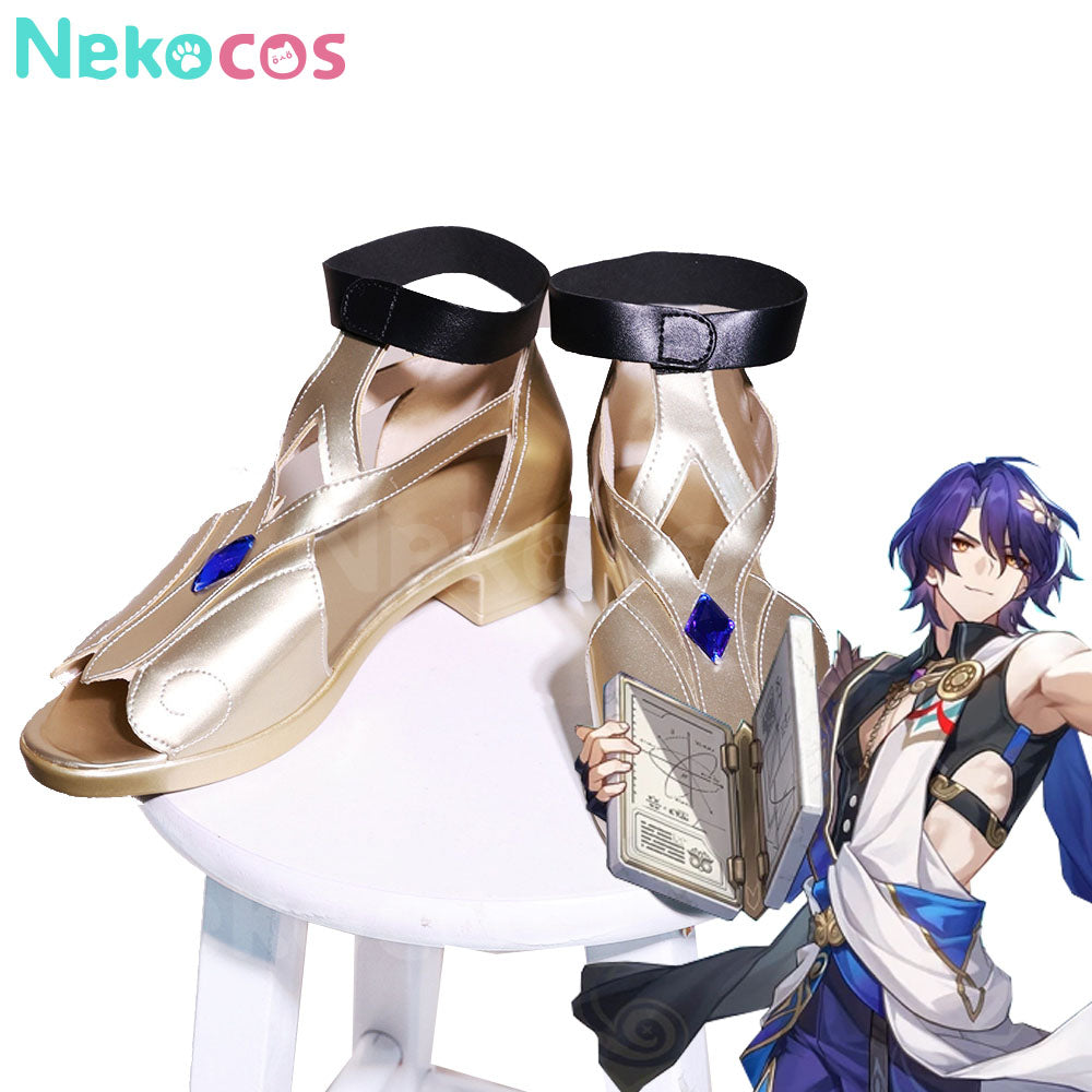 Game Honkai: Star Rail Cosplay Dr. Ratio Cosplay Shoes