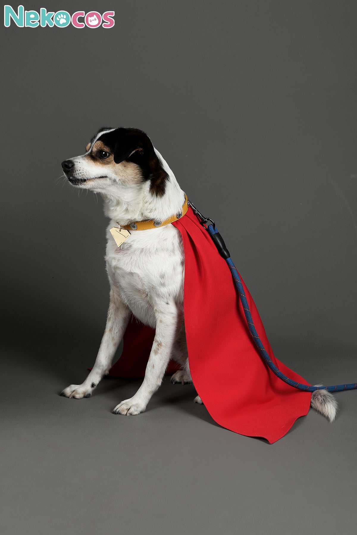 【Nekocos】Movie Cosplay Costume Pet Dog Halloween Cape Standard Collar Custom Christmas Cosplay Costume | Custom-Tailor