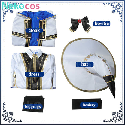【Nekocos】Game Fate Grand Order Cosplay Aesc the Rain Witch Cosplay Costume | Pre-Sale