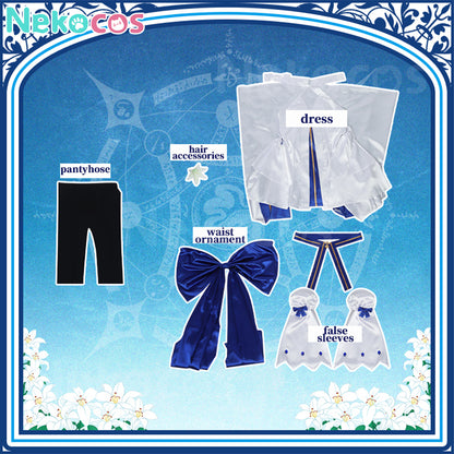 【Nekocos】Game Fate Grand Order Cosplay Arcueid Brunestud Cosplay Costume | Pre-Sale